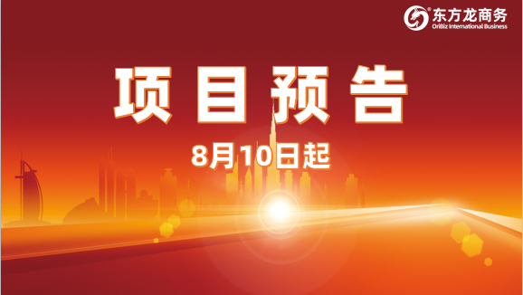 13個優質投資選址項目，總投資額超百億，8月10日陸續安排對接政府園區