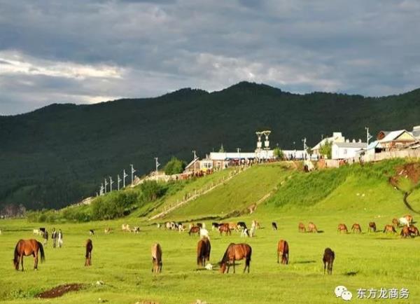 助力內(nèi)蒙古額爾古納市委托招商引資，推動(dòng)產(chǎn)業(yè)轉(zhuǎn)型,著力構(gòu)建存量綠色化、增量高端化的產(chǎn)業(yè)發(fā)展新格局