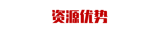 集團助力甘肅省金昌經濟技術開發區委托招商引資，推動主導產業轉型發展