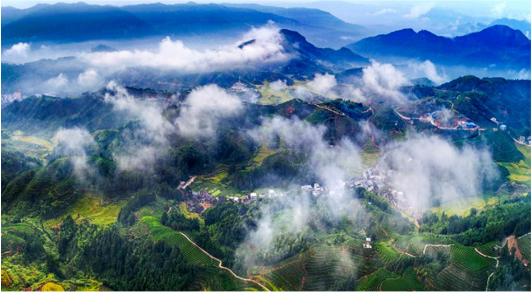 集團全力助推福建寧德周寧縣委托招商引資，強化特色產業實力，為全縣高質量發展增添新動力