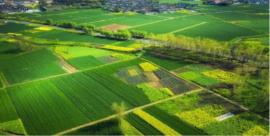 集團(tuán)全力助推山東泰安岱岳區(qū)委托招商引資，擴(kuò)大產(chǎn)業(yè)集聚規(guī)模