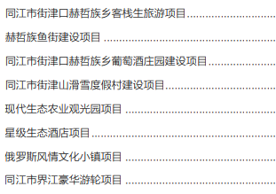 集團全力助推黑龍江省同江市委托招商引資，充分挖掘開發潛能，再次綻放邊陲魅力