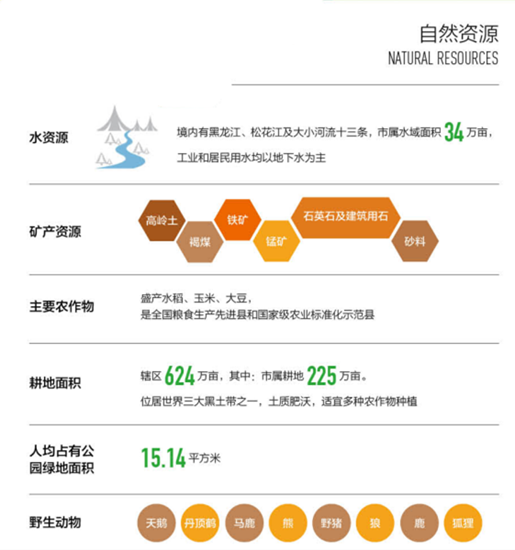 集團全力助推黑龍江省同江市委托招商引資，充分挖掘開發潛能，再次綻放邊陲魅力